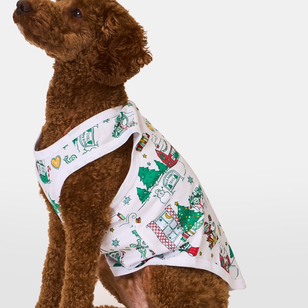 Roller Rabbit Snow Village Dog Pajamas Size XLGREEN / XL